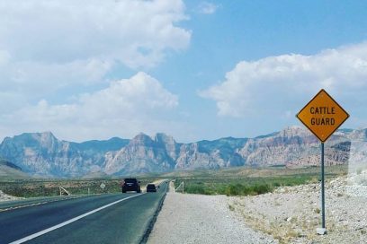 Las Vegas – IBJJF Master Worlds 2016