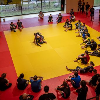 Le grappling ou NOGI